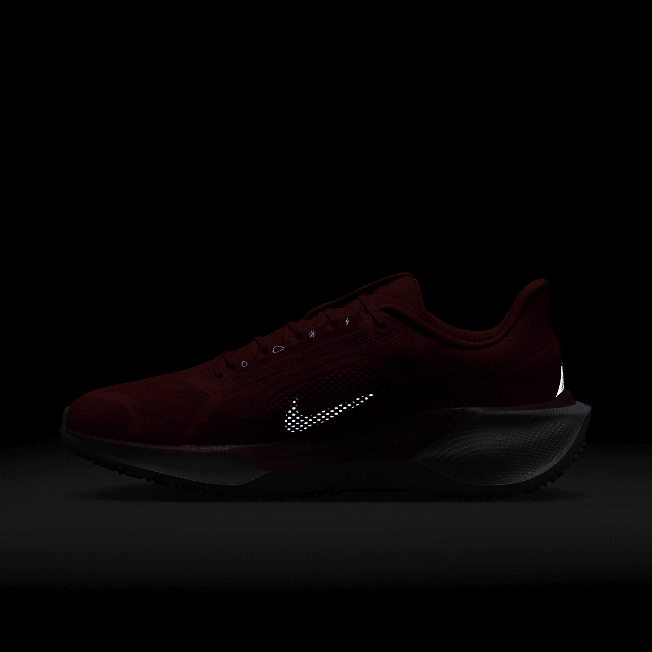 Nike Pegasus sneaker Picante Red/Bright Crimson/Vivid Grape/Green Frost