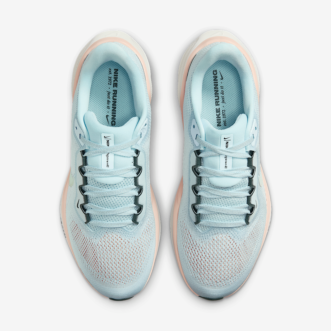Nike Pegasus sneaker Glacier Blue/Washed Coral/Vintage Green/Meerkleurig