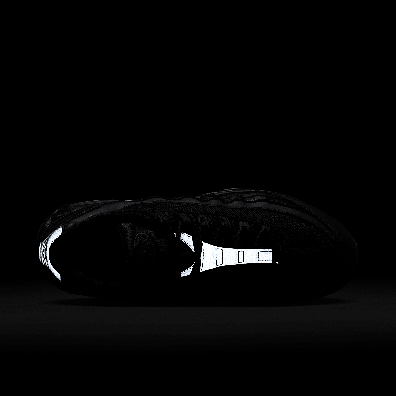 Nike Air Max 95 sneaker Zwart/Zwart/Anthracite/Zwart