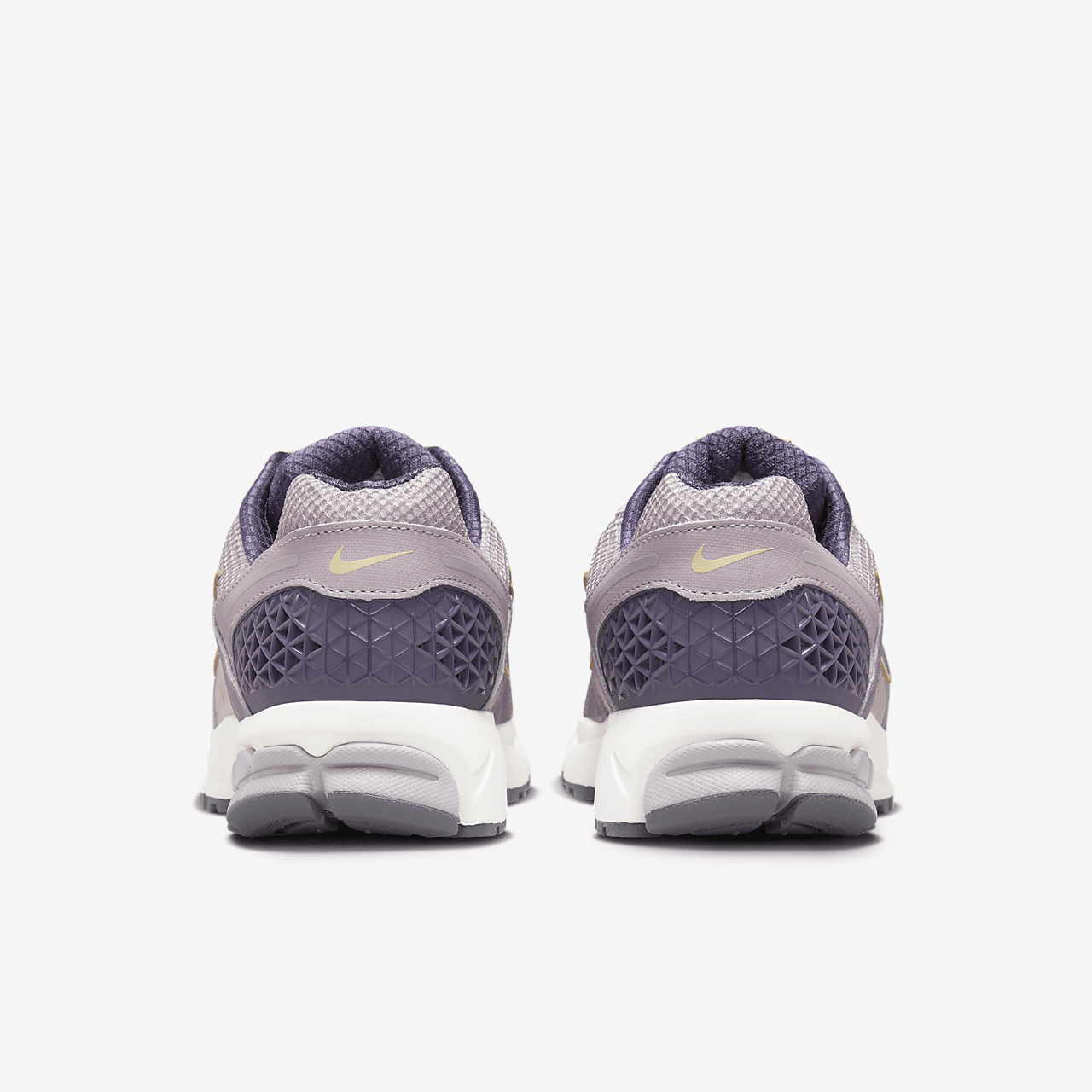 Nike  sneaker Platinum Violet/Light Violet Ore/Team Gold/Dark Raisin