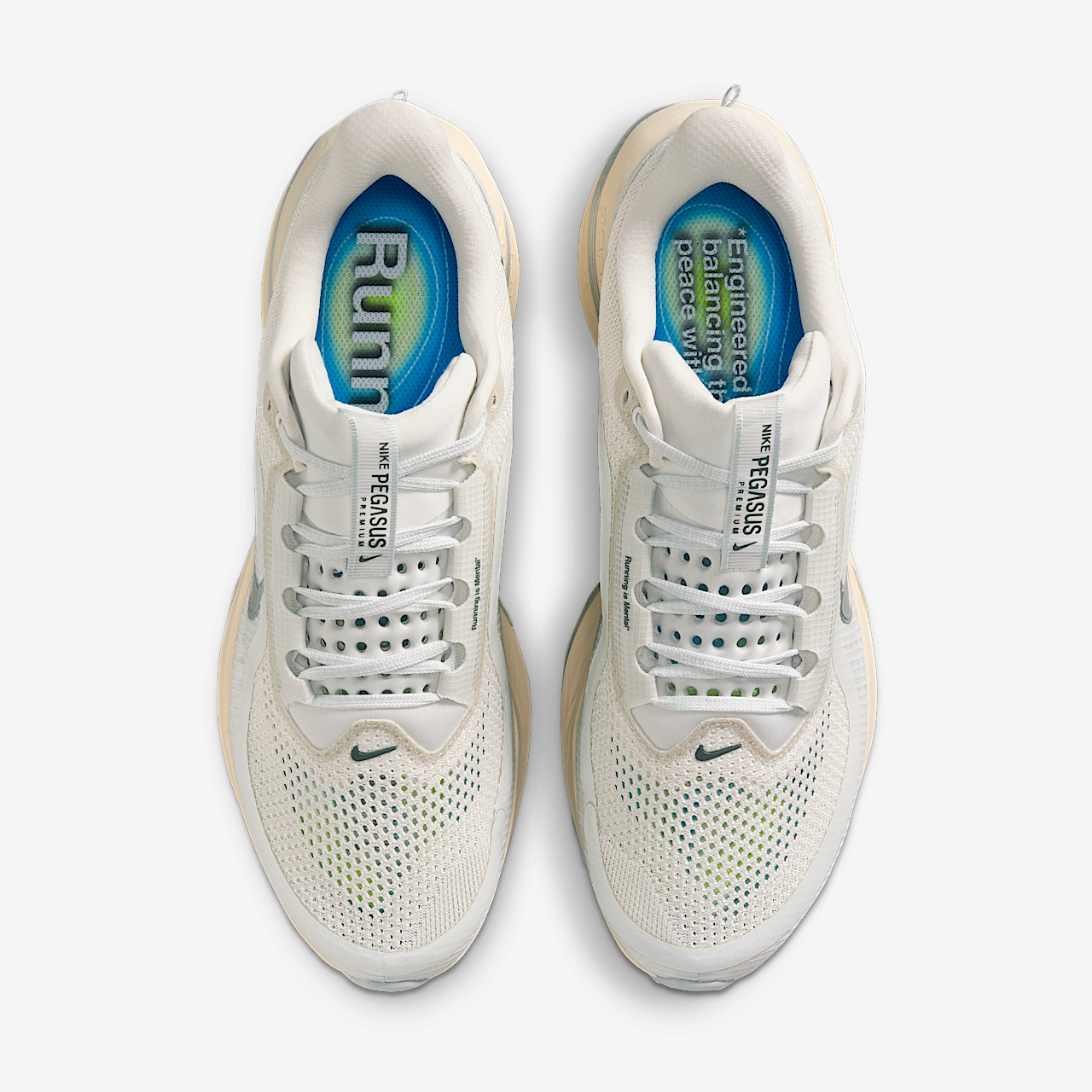 Nike Pegasus sneaker Platinum Tint/Grey Fog/Iron Grey/Reflect Silver