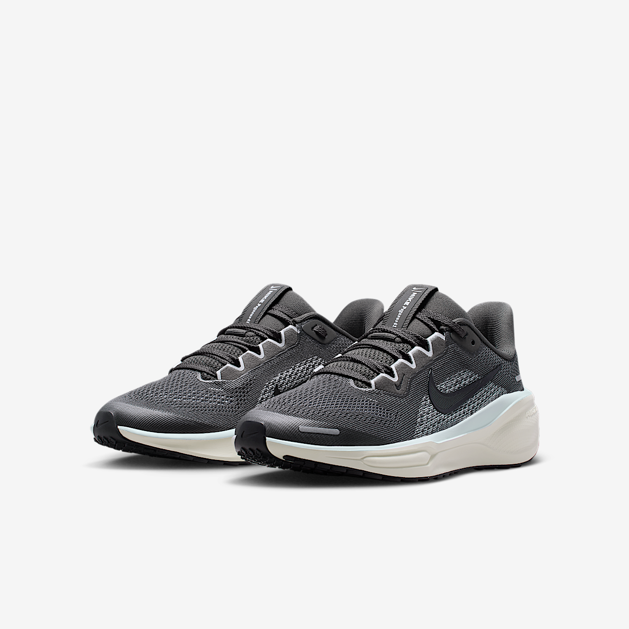 Nike Pegasus sneaker Medium Ash/Pure Platinum/Pale Ivory/Zwart
