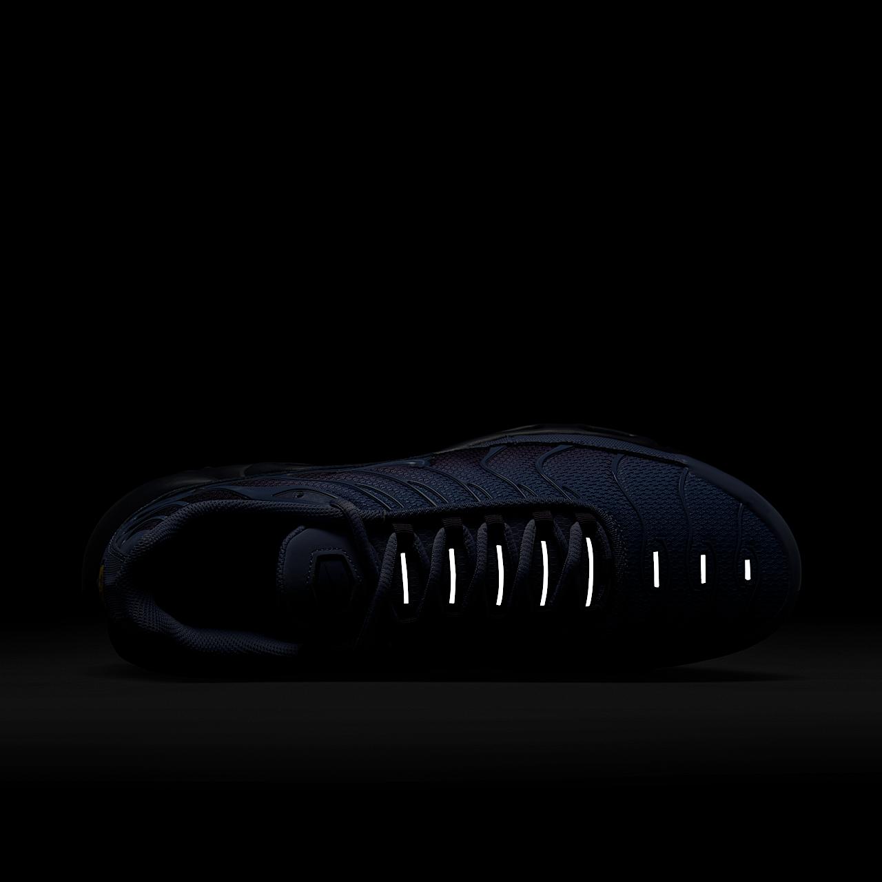Nike Air Max Plus sneaker World Indigo/Cave Purple/Zwart/World Indigo