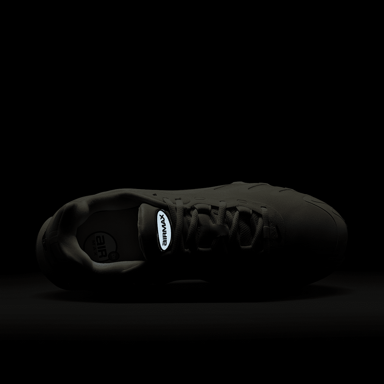 Nike Air Max DN sneaker Sail/Fossil/Zwart
