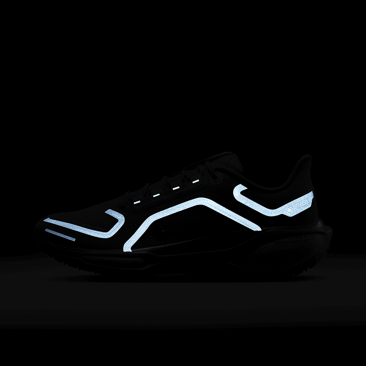Nike Pegasus sneaker Zwart/Anthracite/Zwart