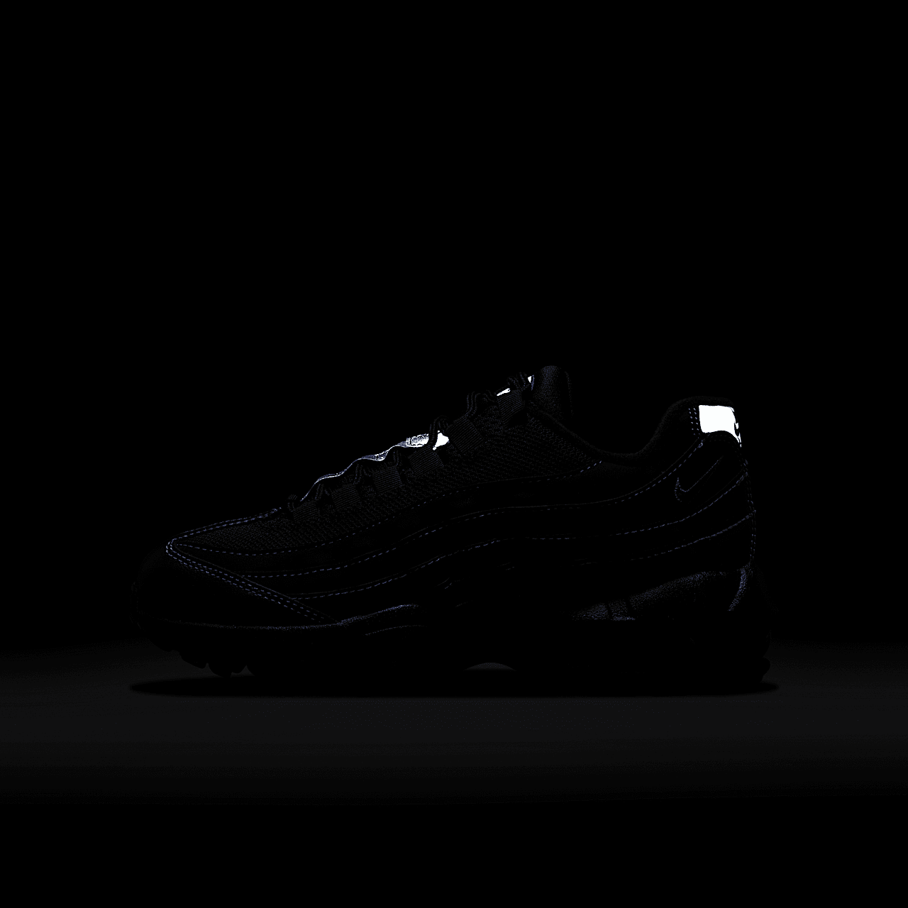 Nike Air Max 95 sneaker Zwart/Persian Violet/Wolf Grey/Zwart