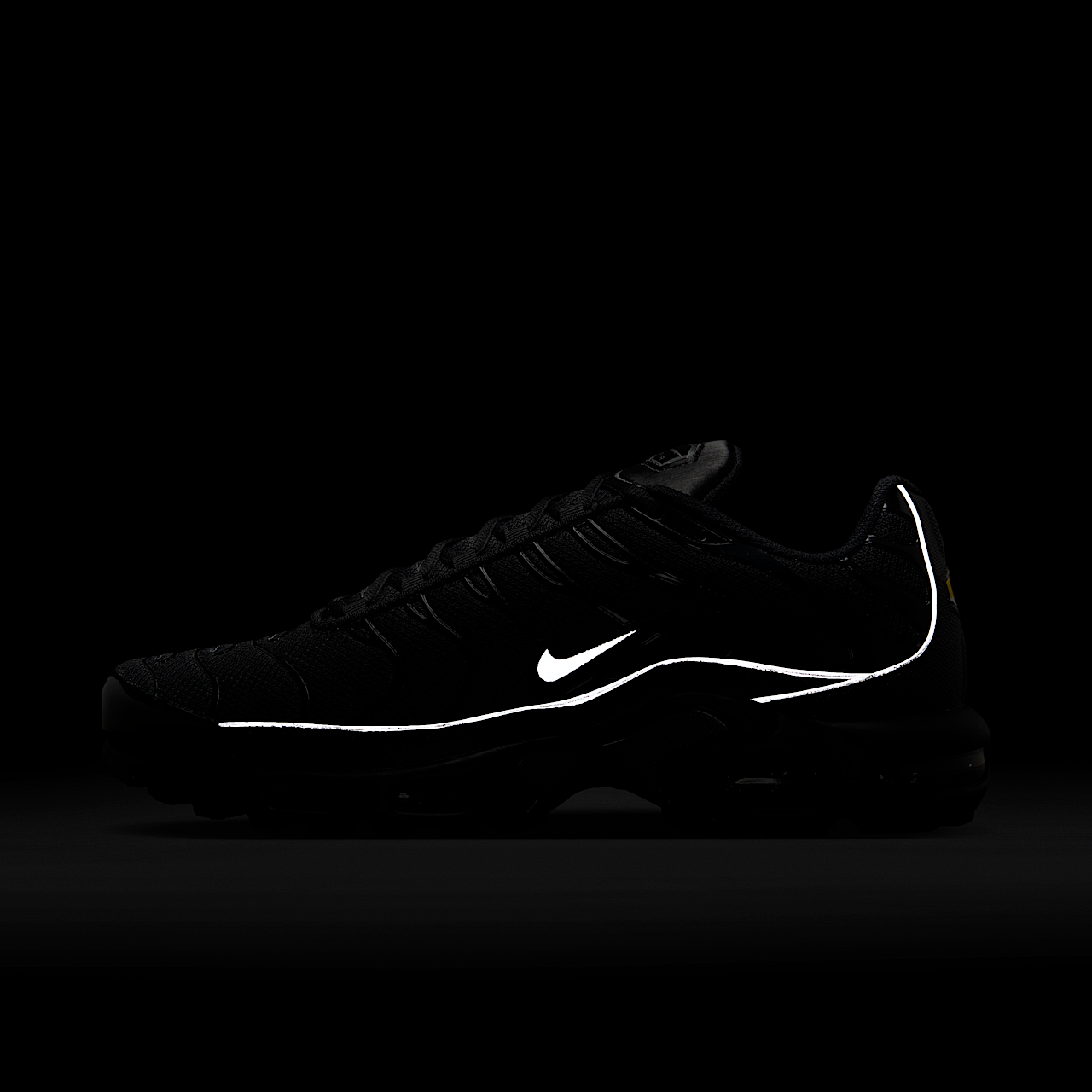 Nike Air Max Plus sneaker Zwart/Zwart/Metallic Silver