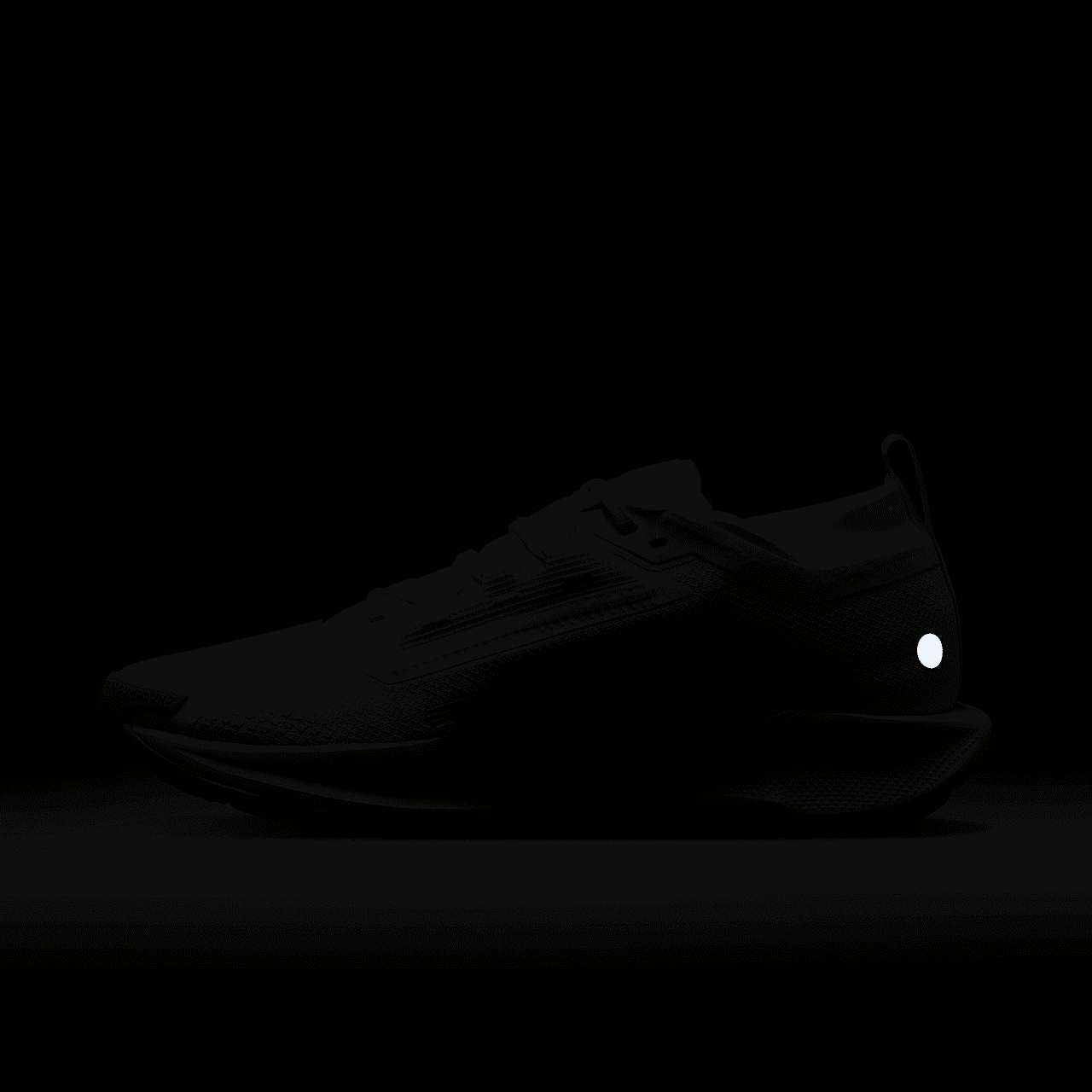 Nike Pegasus sneaker Summit White/Light Silver/College Grey/Sequoia