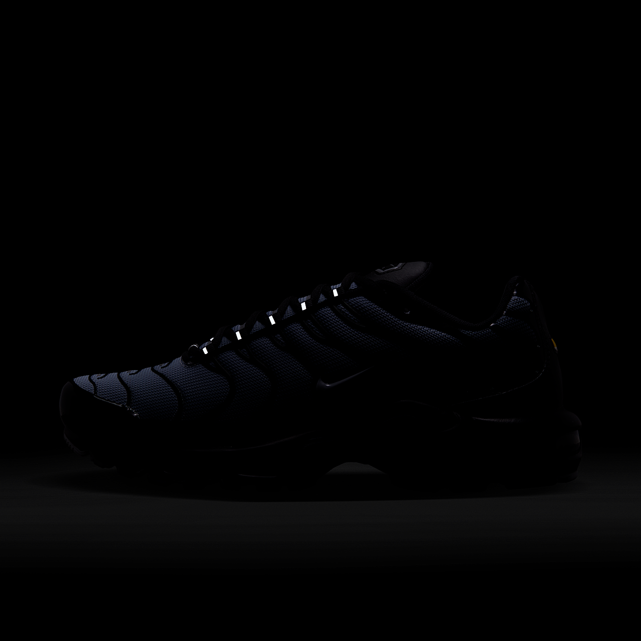 Nike Air Max Plus sneaker Zwart/Metallic Silver/Wolf Grey