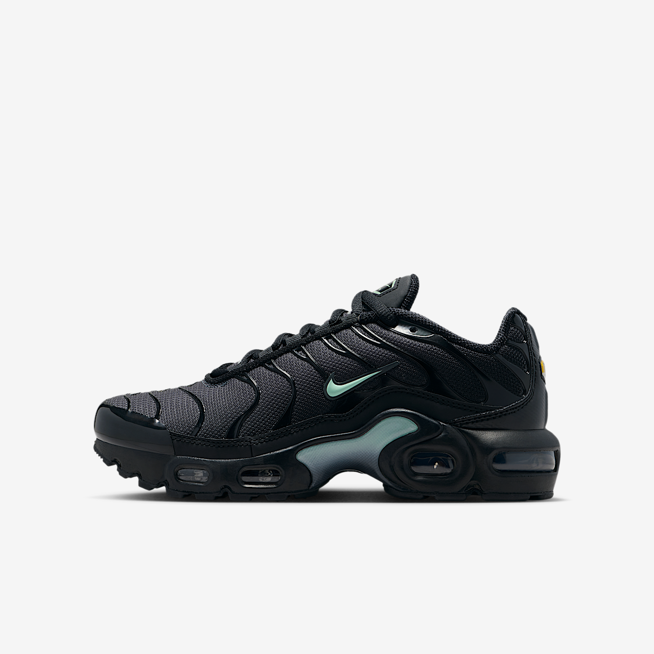 Nike Air Max Plus sneaker Zwart/Dark Smoke Grey/Mint Foam