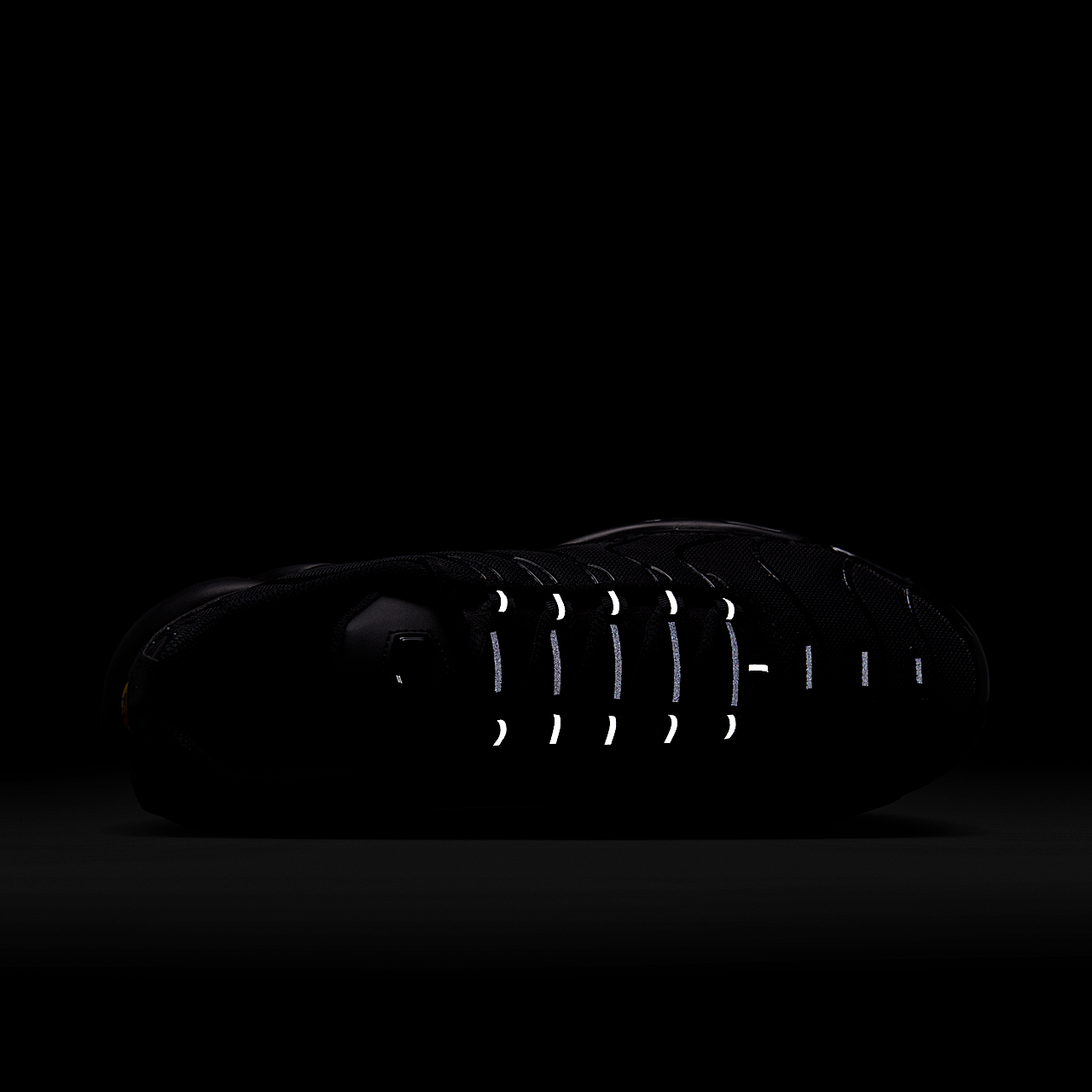 Nike Air Max Plus sneaker Zwart/Zwart/Zwart