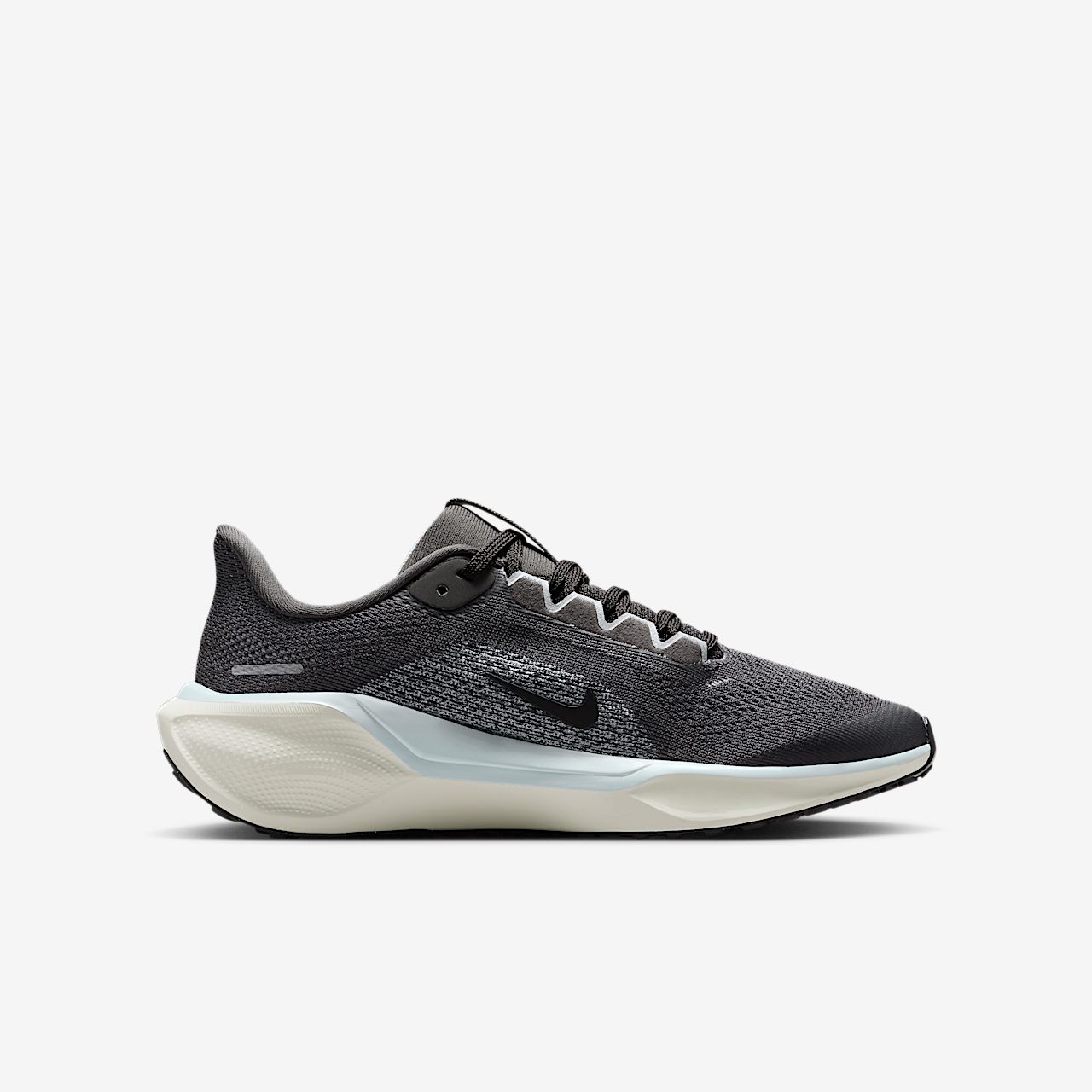Nike Pegasus sneaker Medium Ash/Pure Platinum/Pale Ivory/Zwart