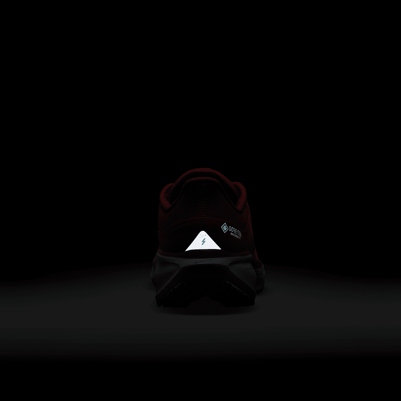 Nike Pegasus sneaker Picante Red/Bright Crimson/Vivid Grape/Green Frost