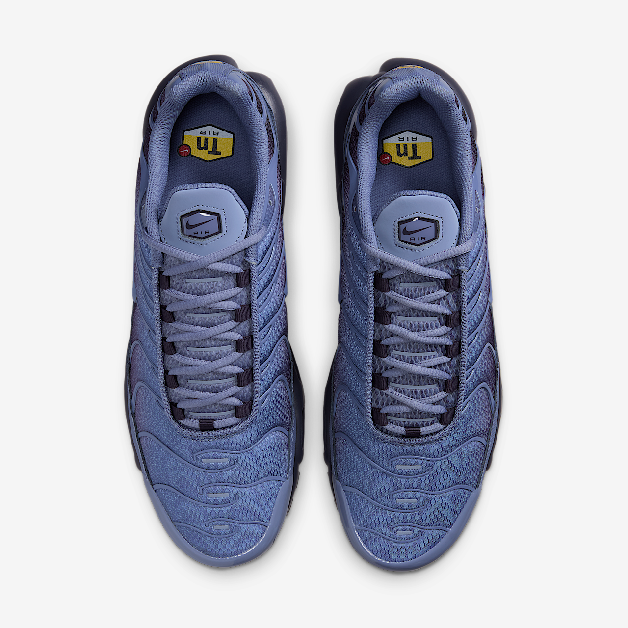 Nike Air Max Plus sneaker World Indigo/Cave Purple/Zwart/World Indigo