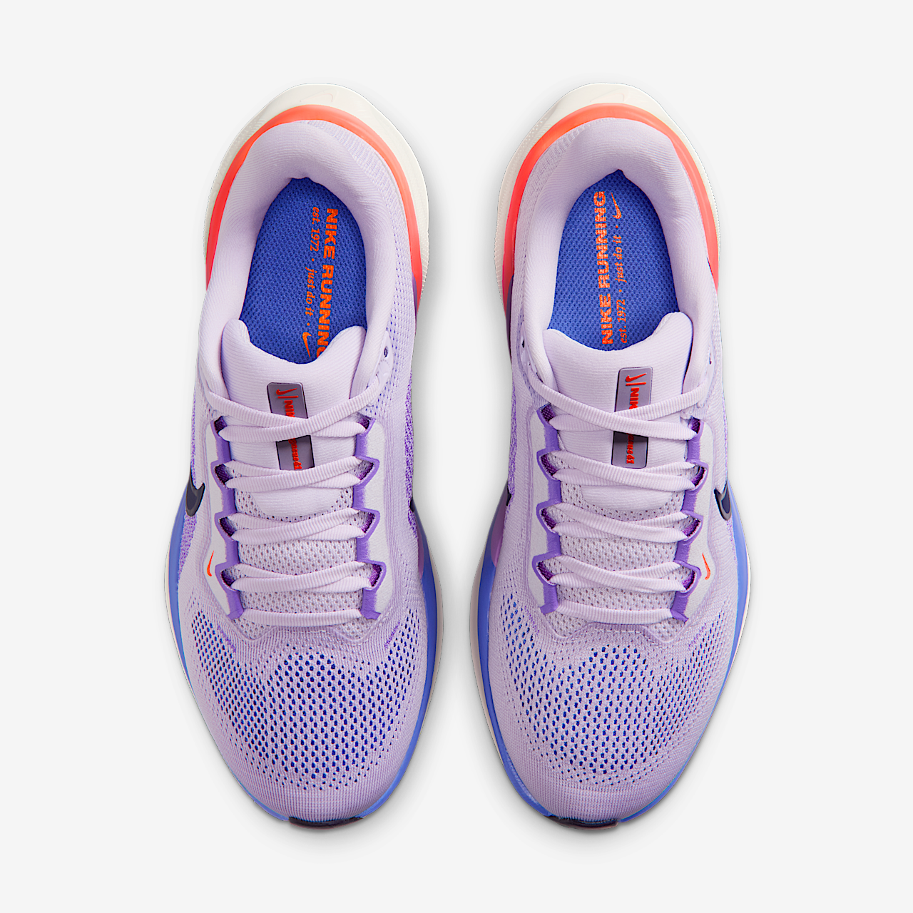 Nike Pegasus sneaker Violet Mist/Bright Violet/Sapphire/Purple Dynasty