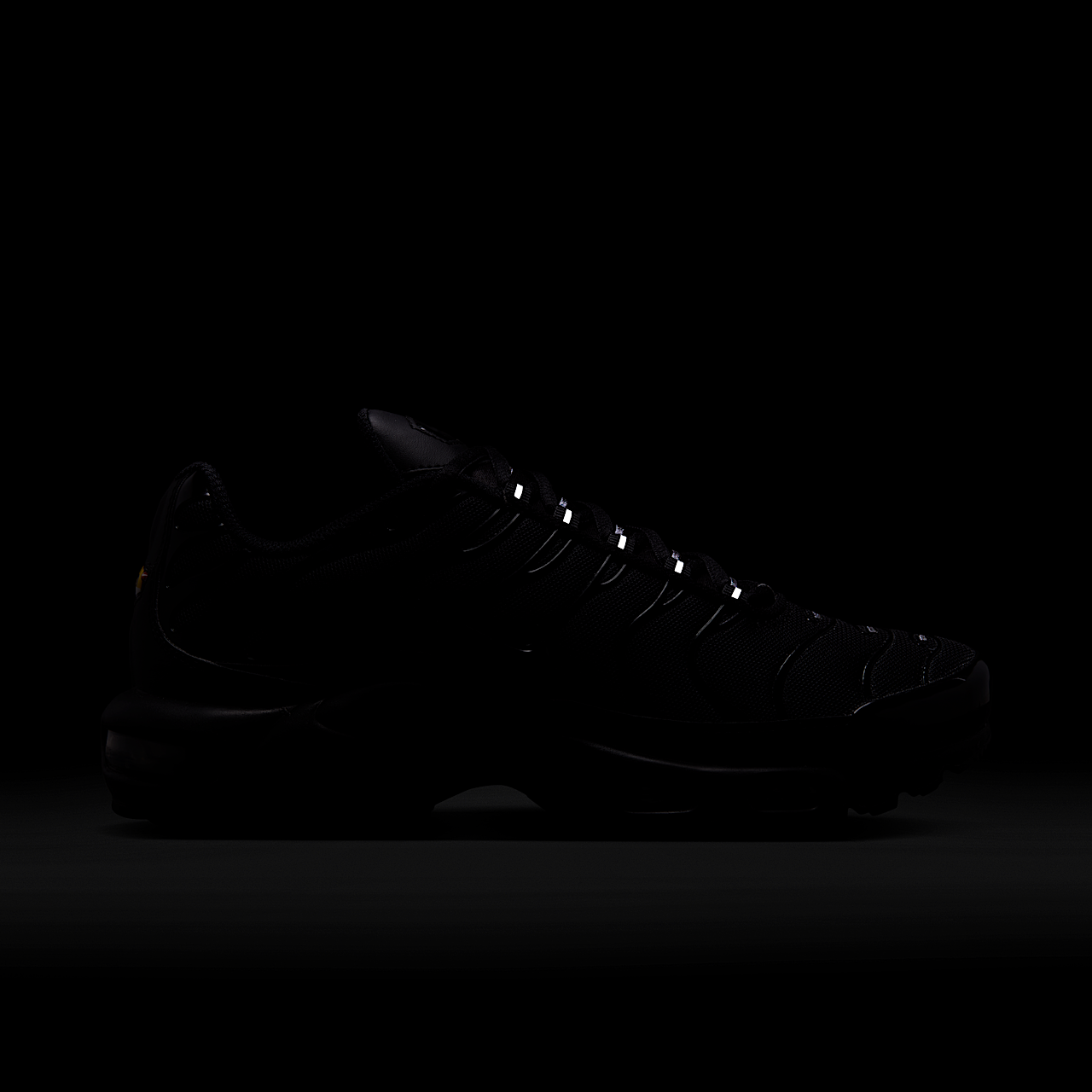 Nike Air Max Plus sneaker Zwart/Zwart/Zwart