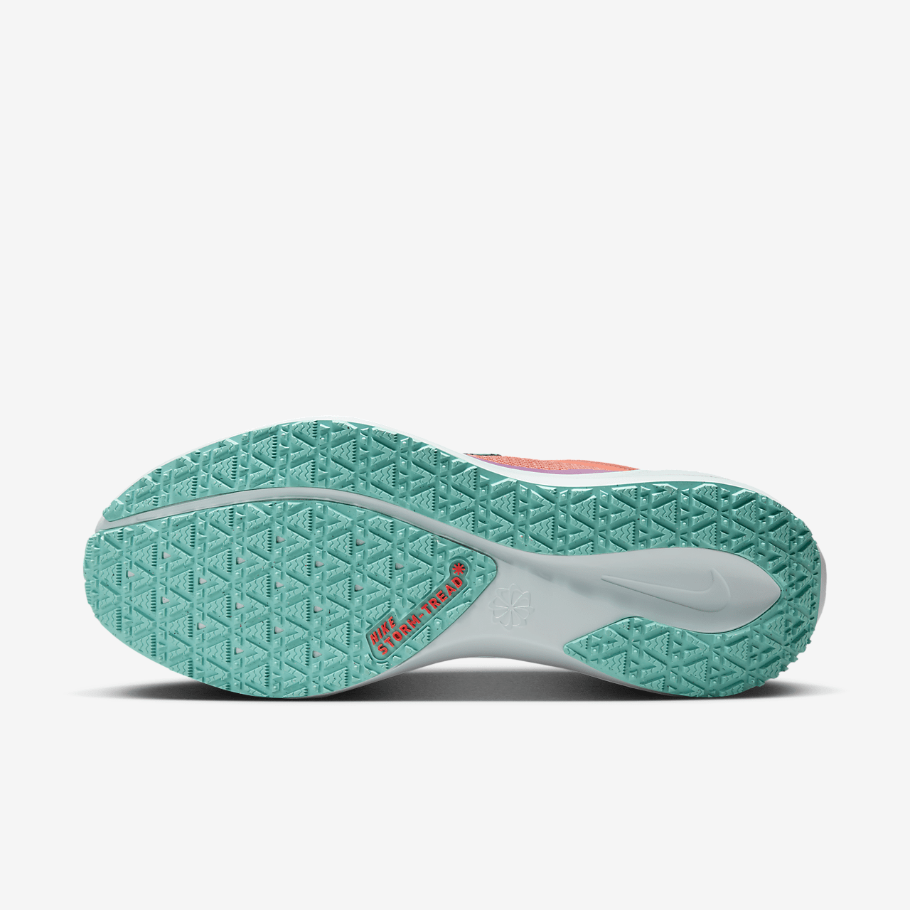 Nike Pegasus sneaker Picante Red/Bright Crimson/Vivid Grape/Green Frost