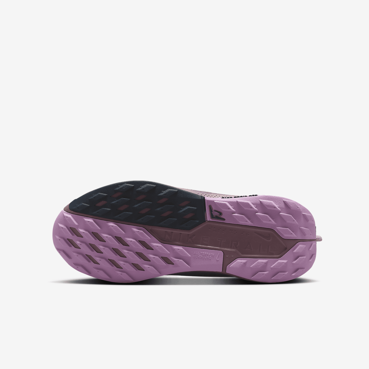 Nike Pegasus sneaker Plum Dust/Platinum Violet/Beyond Pink/Metallic Silver