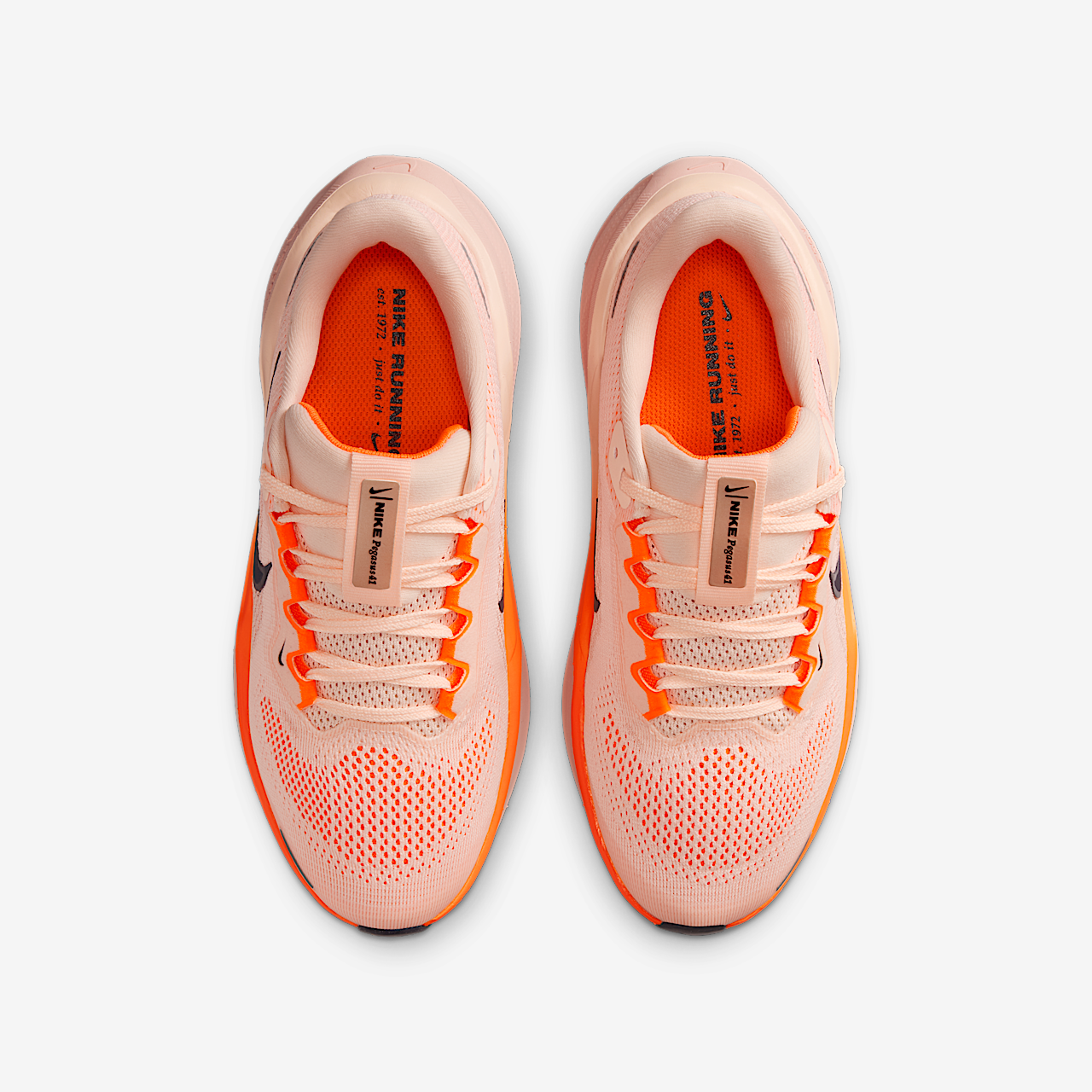 Nike Pegasus sneaker Crimson Tint/Washed Coral/Total Orange/Gridiron