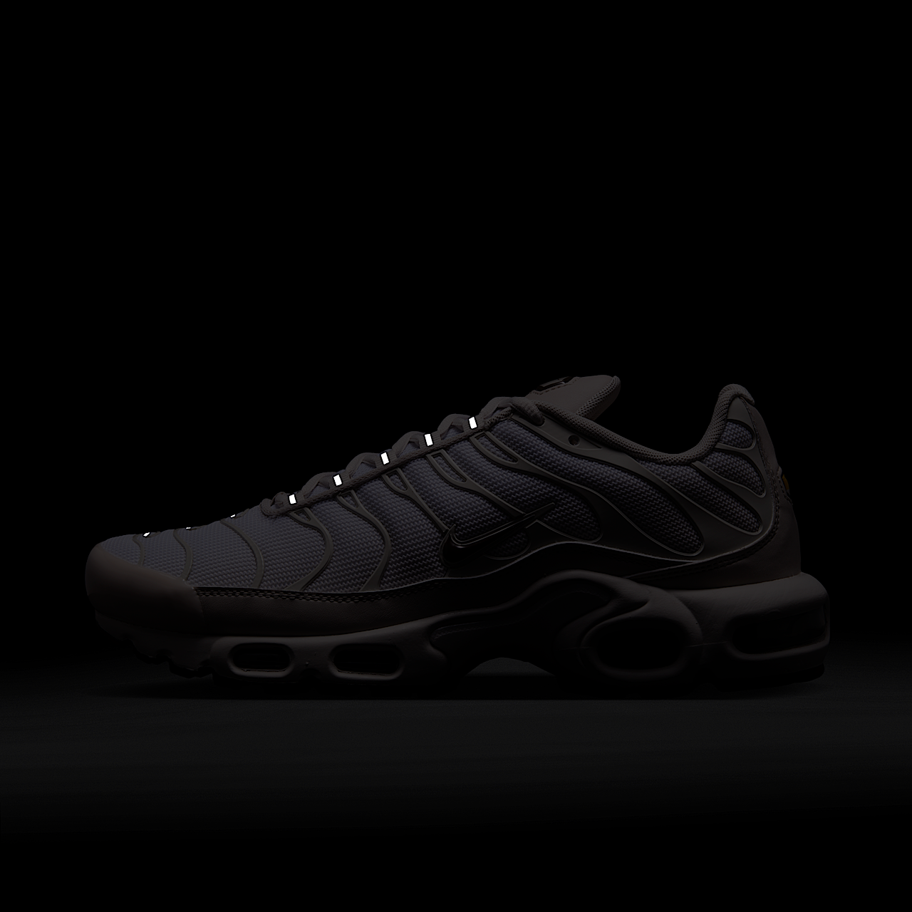Nike Air Max Plus sneaker Light Orewood Brown/Metallic Silver/Wit/Cacao Wow