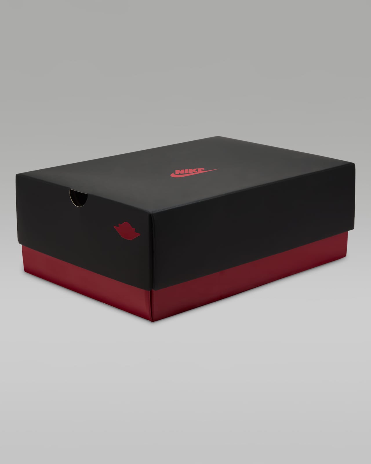 Nike/Jordan mini shoe chain Pair With The Box