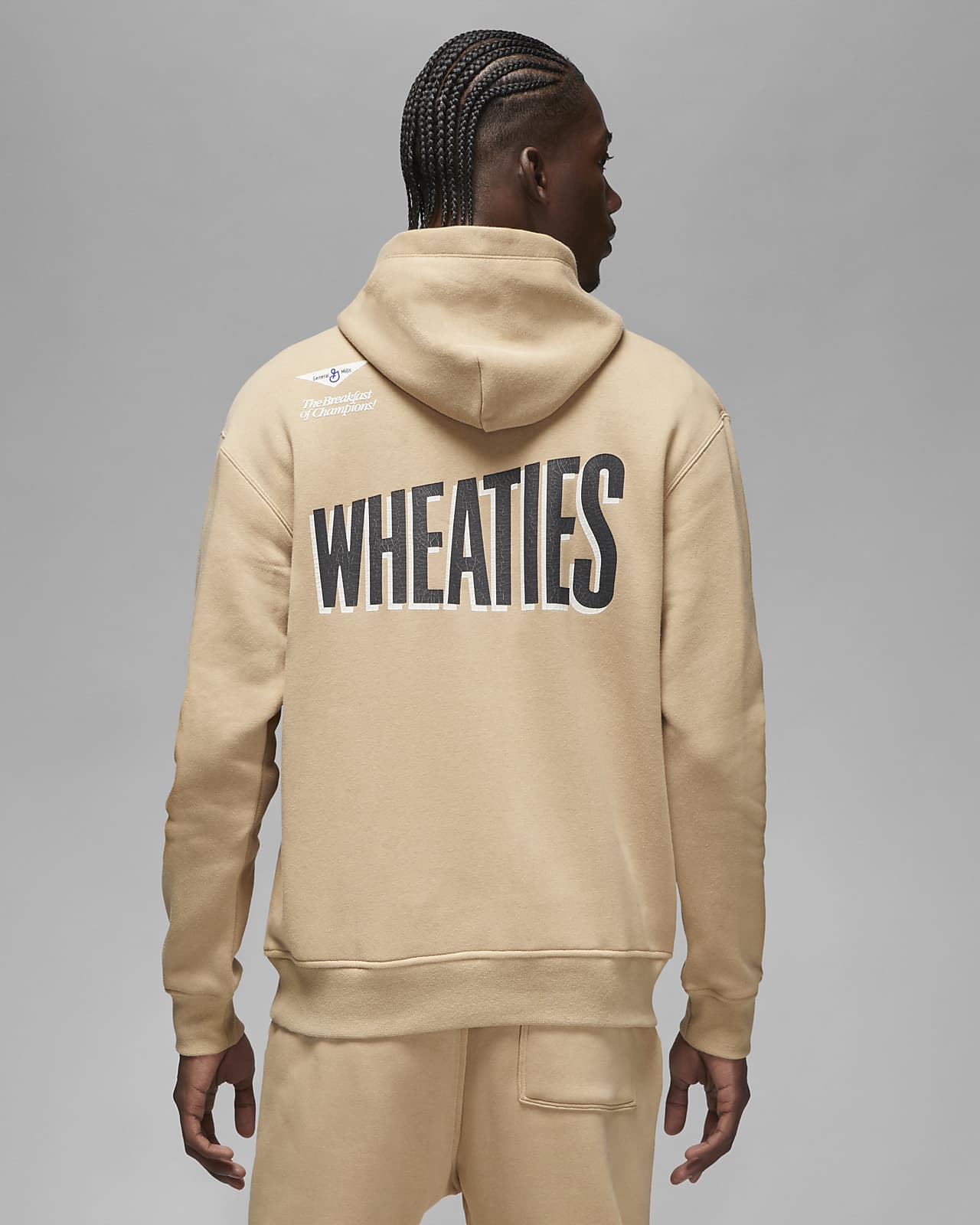 flight nike hoodie