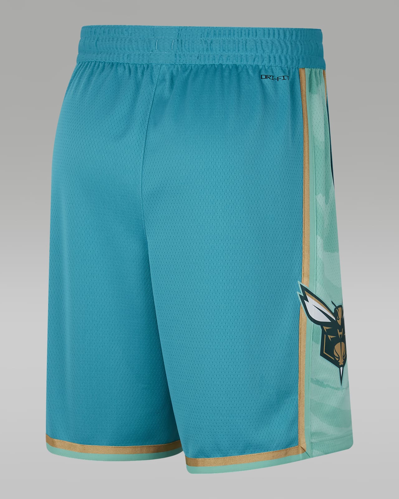 Charlotte hornets shorts discount