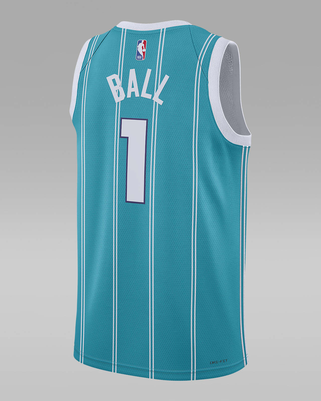 Charlotte Hornets Icon Edition 2022 23 Jordan Dri FIT NBA Swingman
