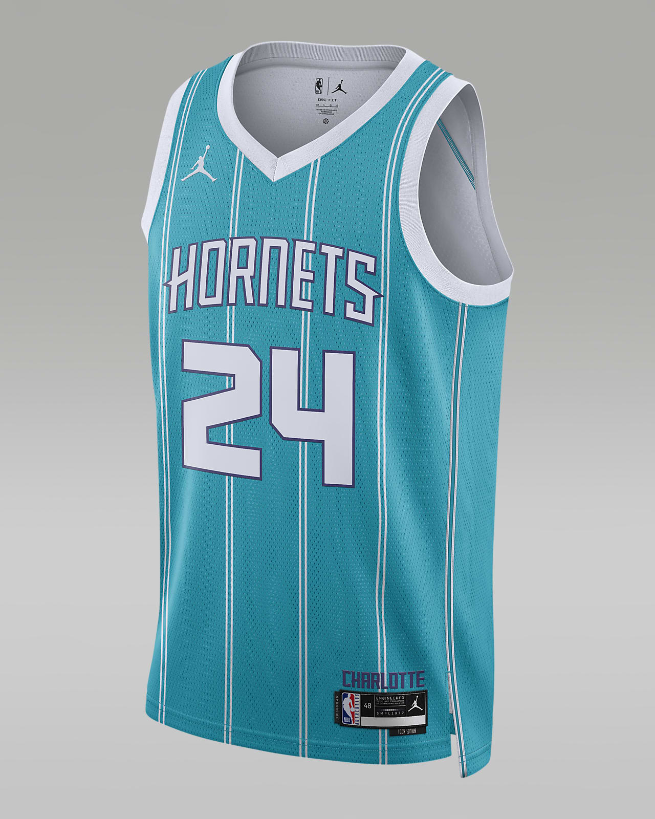 Charlotte Hornets Icon Edition 2022/23 Men's Jordan Dri-FIT NBA Swingman  Jersey.