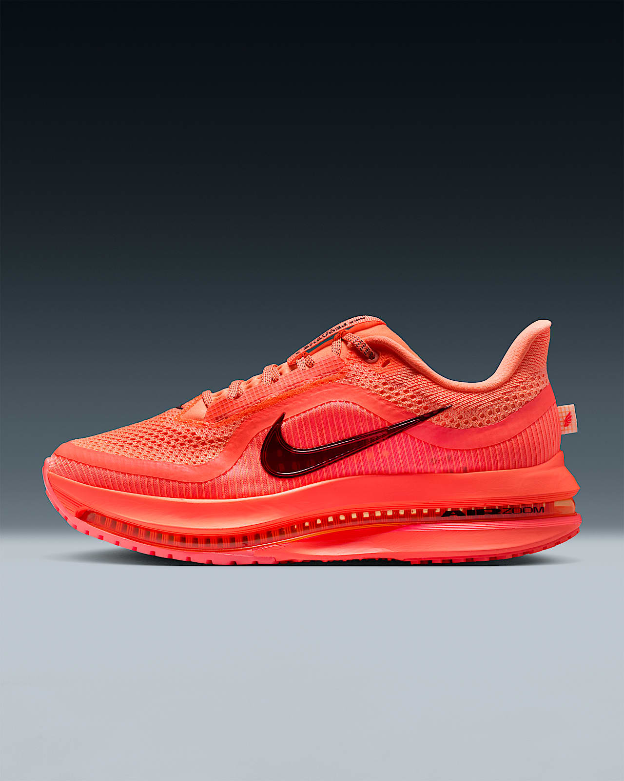 Nike Pegasus Premium