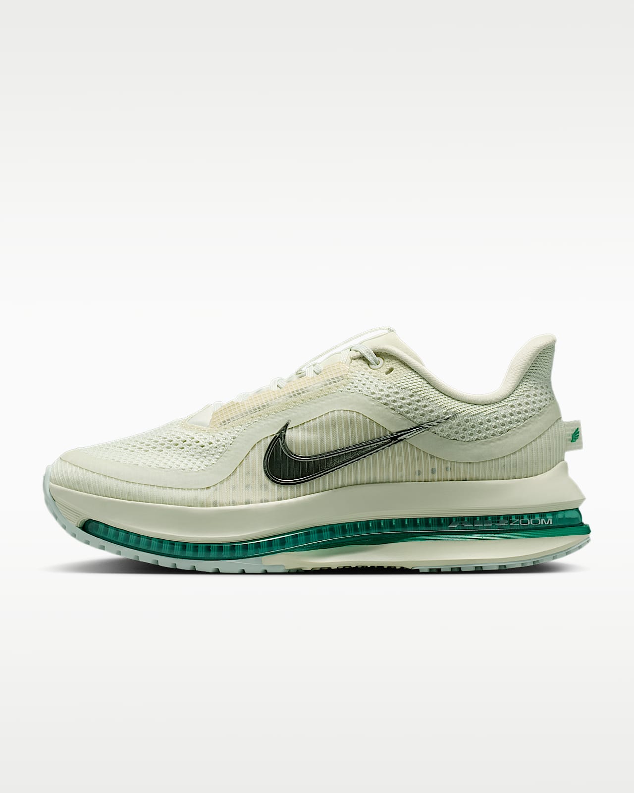 나이키 페가수스 프리미엄