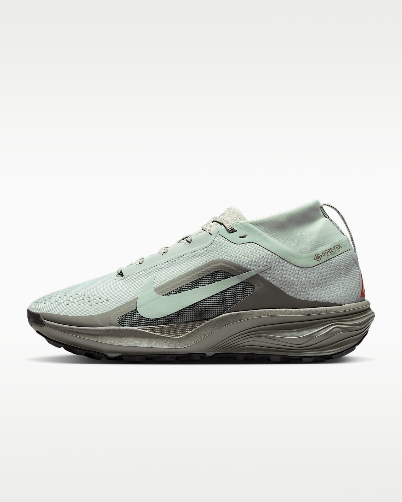 ACG Pegasus Trail GORE-TEX