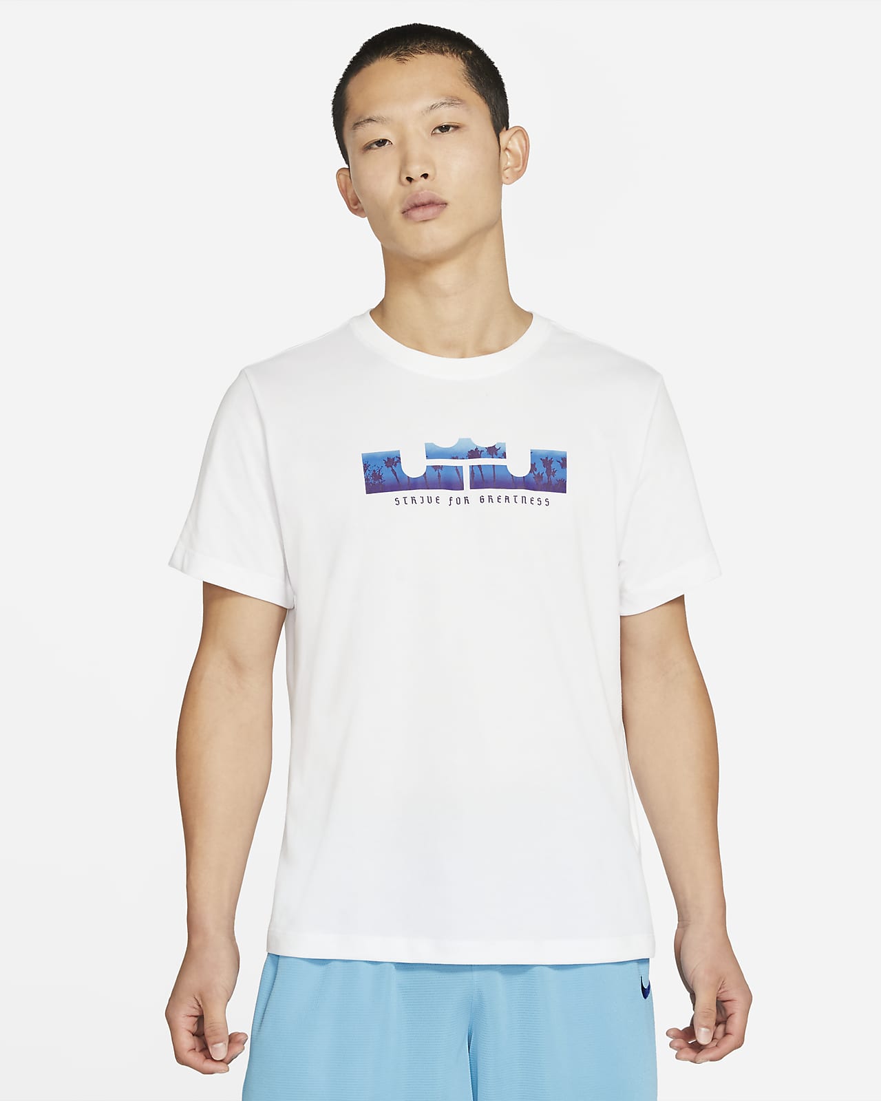 Nike公式 ナイキ Dri Fit レブロン ロゴ メンズ ショートスリーブ バスケットボール Tシャツ オンラインストア 通販サイト