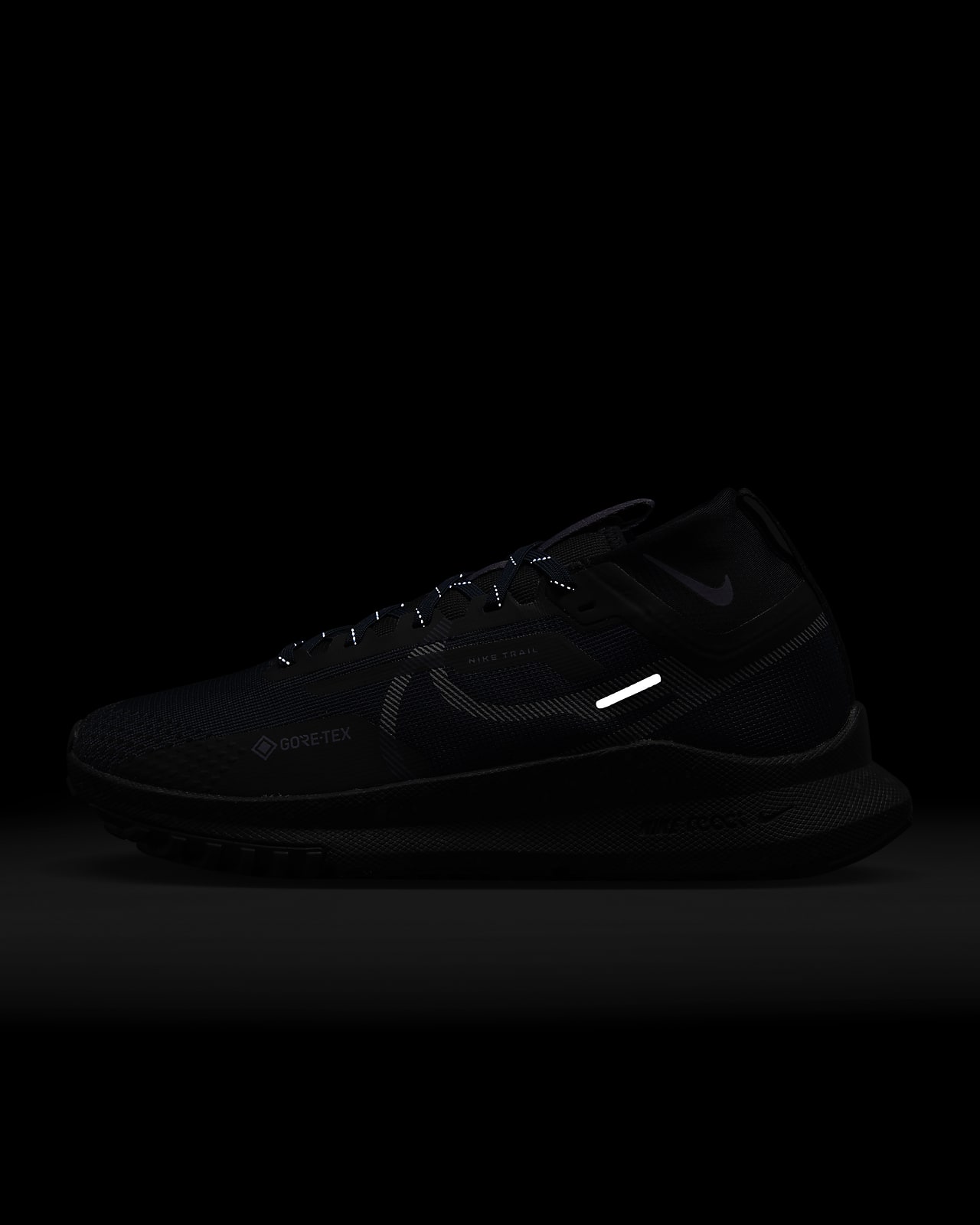 Nike-PEGASUS TRAIL 2 GORE TEX MUJER NIKCU2018600