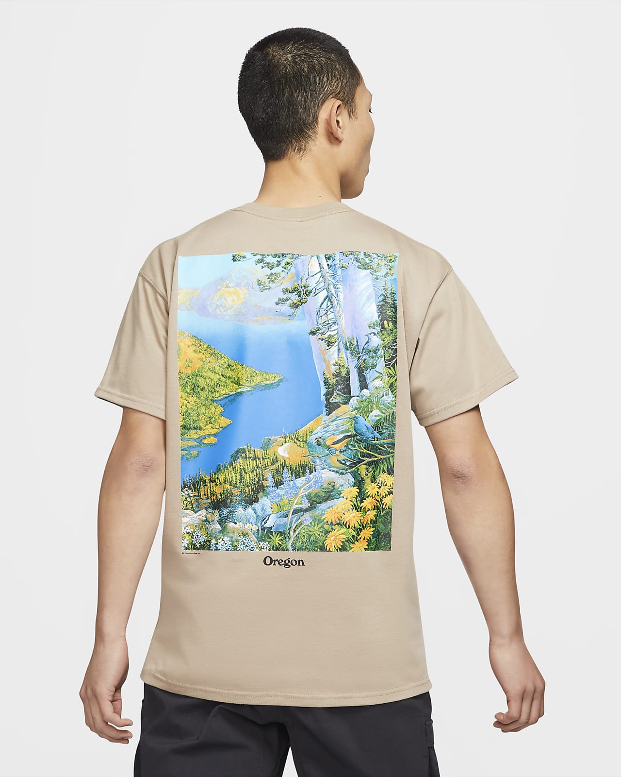 Nike公式 ナイキ Acg Crater Lake ショートスリーブ Tシャツ オンラインストア 通販サイト