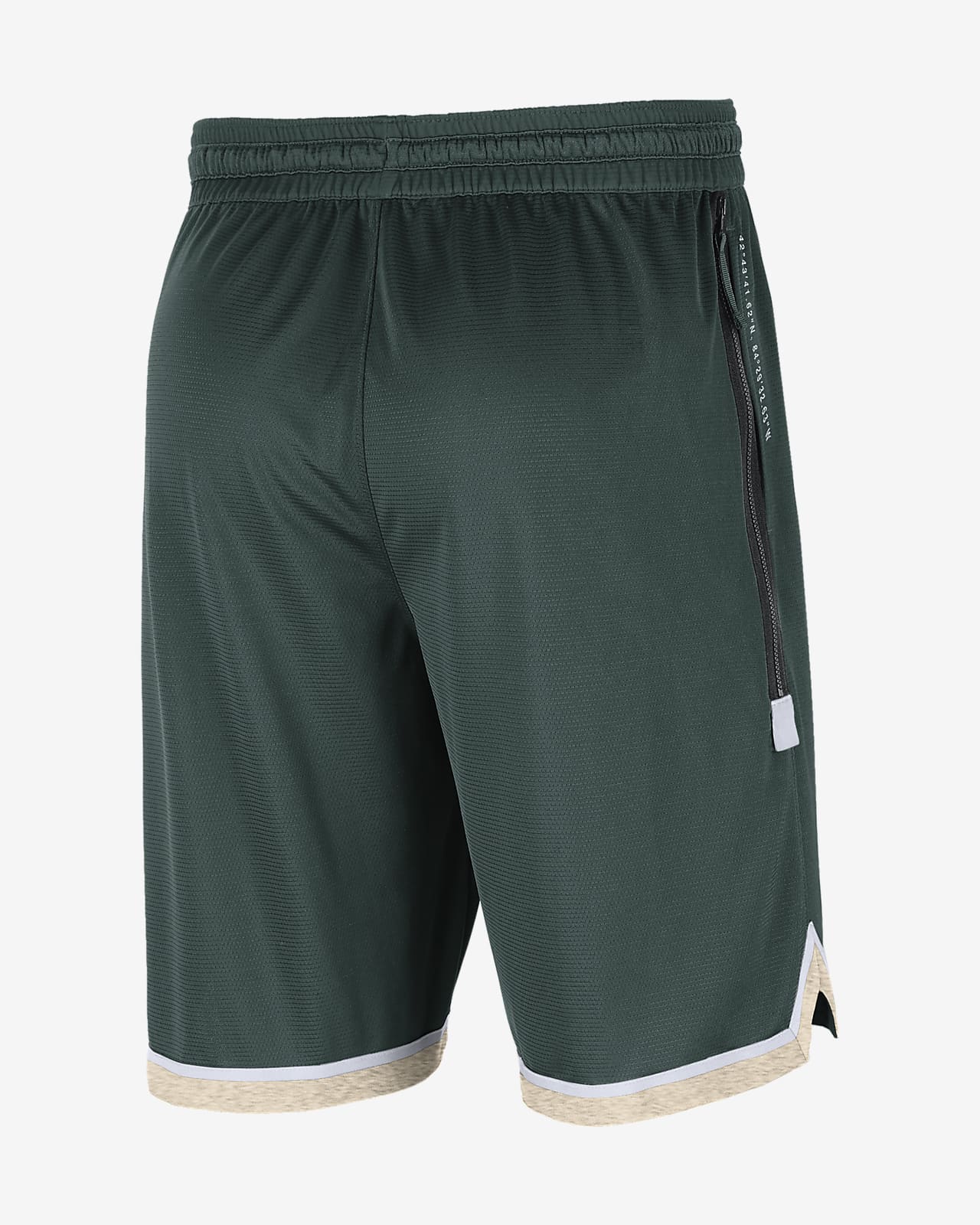 michigan state nike shorts