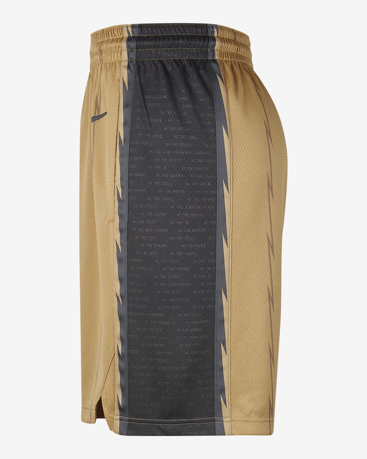 Nike dri hot sale fit raptors