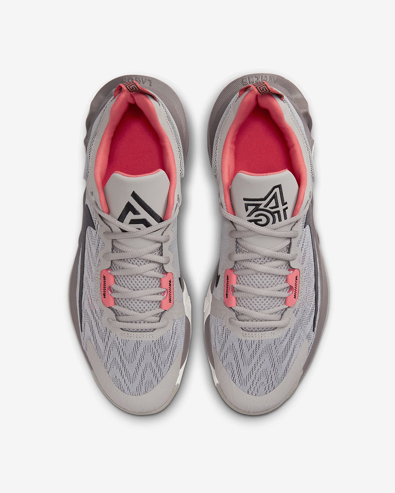 Chaussure de basketball Giannis Immortality 2. Nike FR