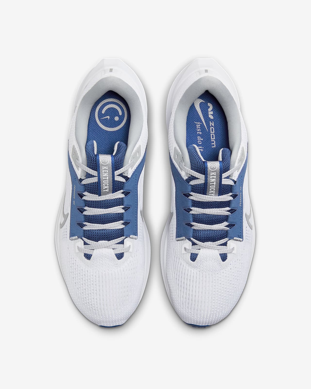 Nike Pegasus 40 (Kentucky) Men's Road Running Shoes.