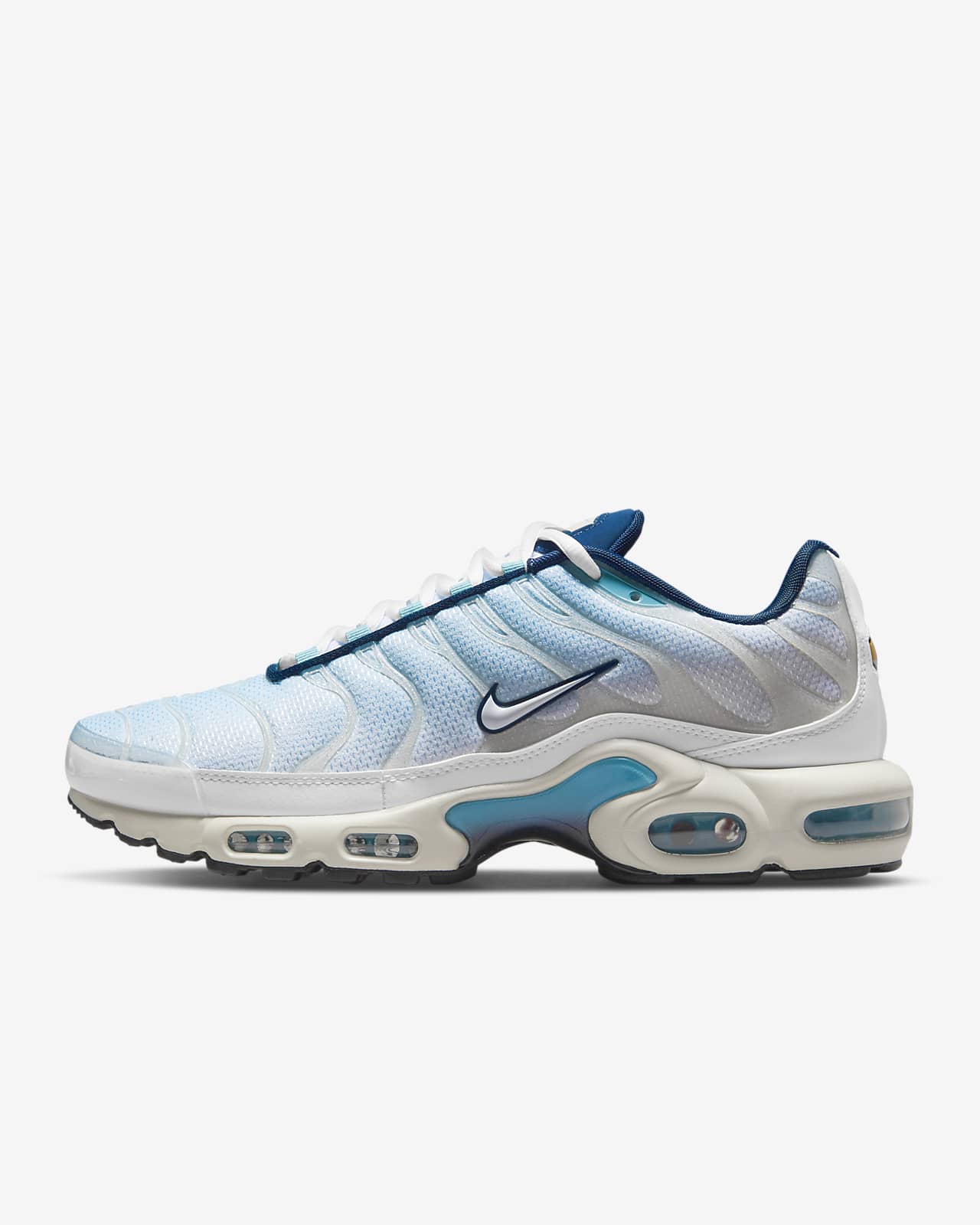 Calzado Para Hombre Nike Air Max Plus 5783