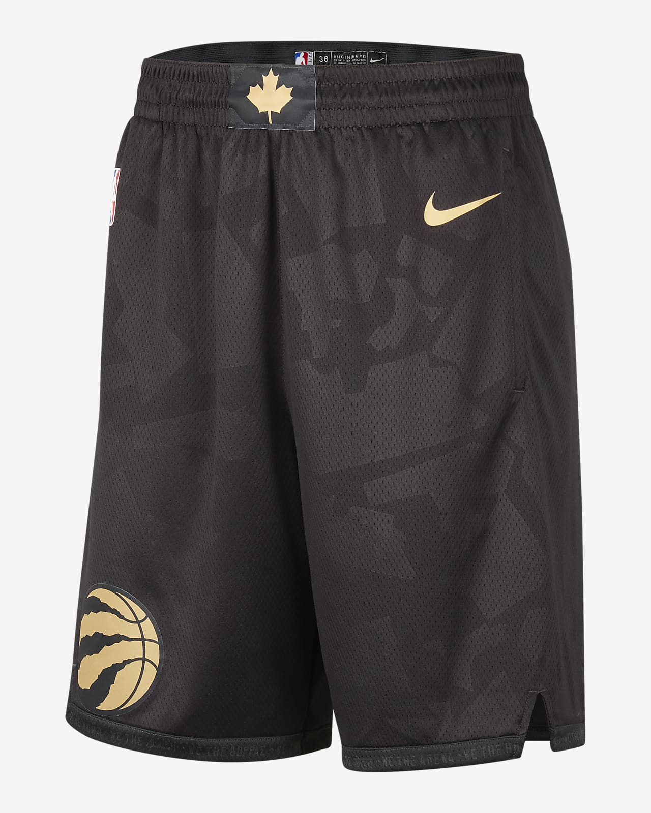 Toronto Raptors City Edition Men's Nike Dri-FIT NBA Swingman Shorts