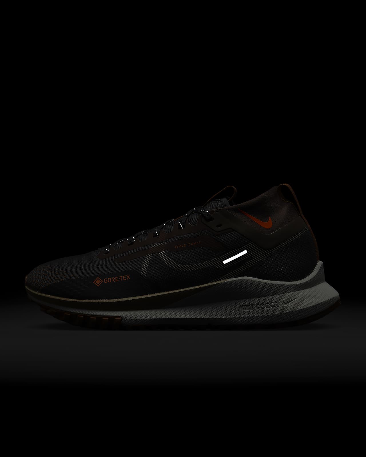 Nike Trail GORE-TEX Men's Waterproof Trail Running Shoes.