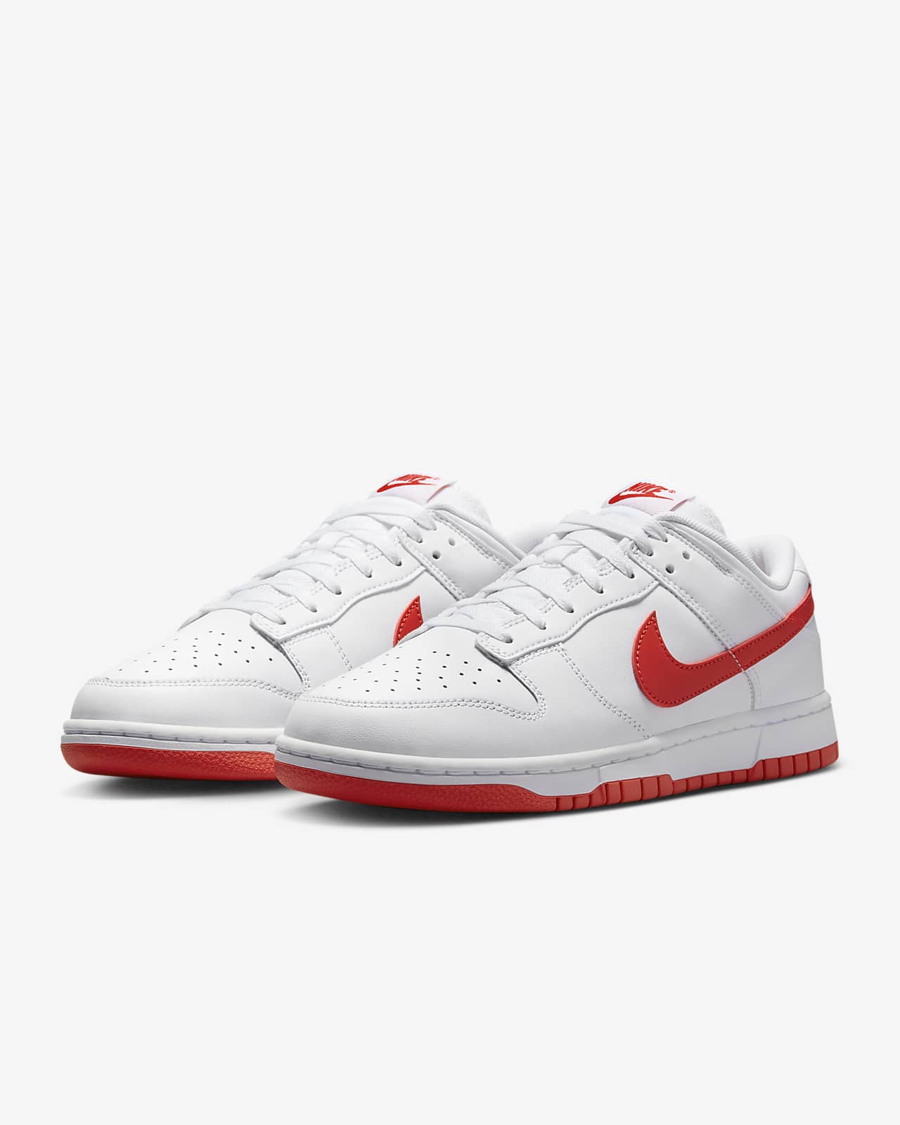 Nike Dunk Low Retro Men's Shoes