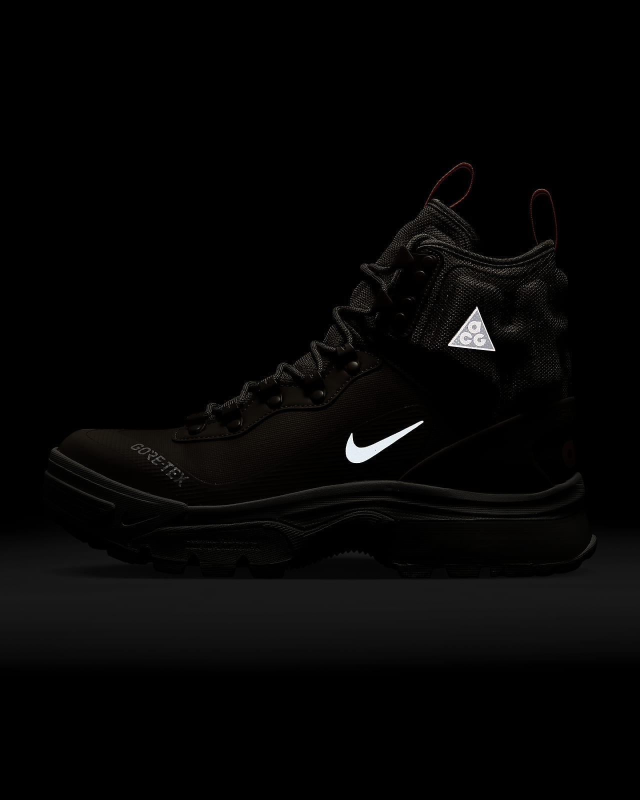 Nike ACG Air Zoom Gaiadome GORE-TEX Shoes