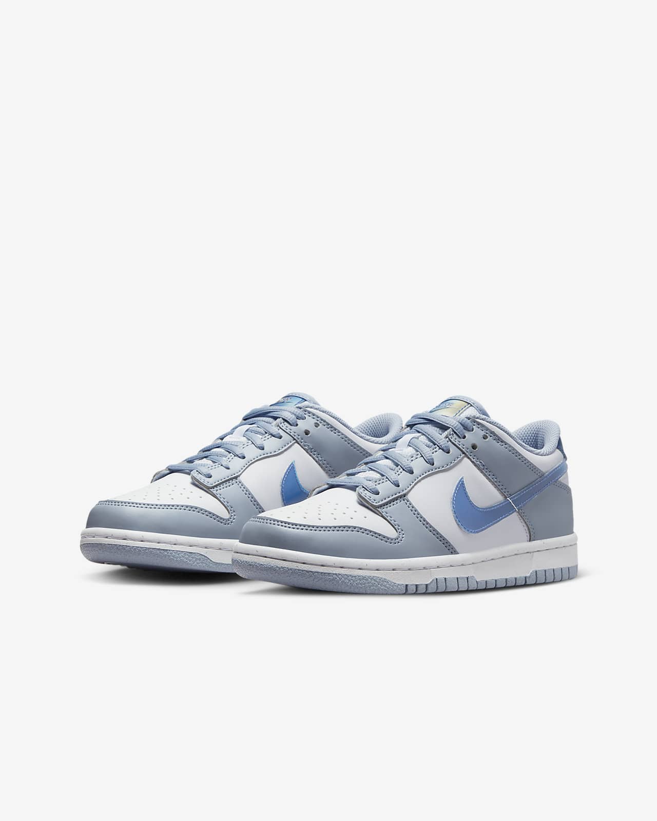 Nike dunk hotsell low youth