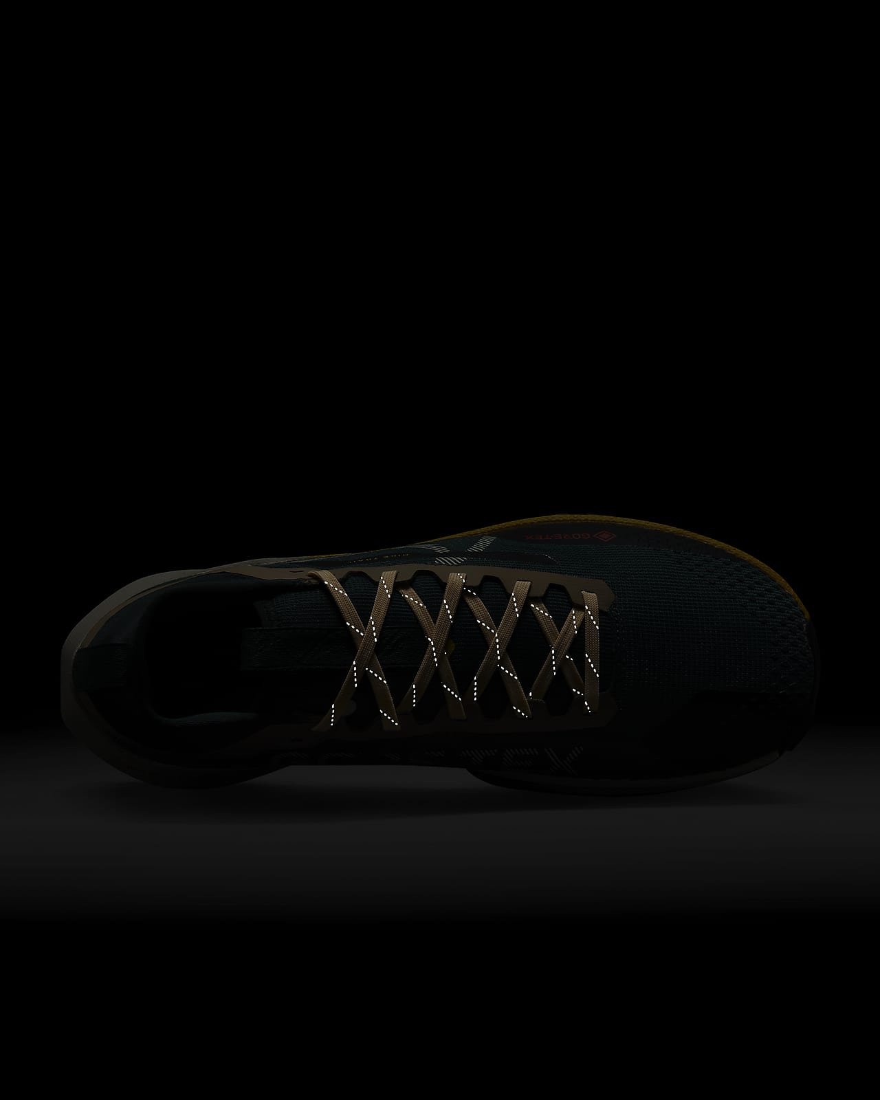 air pegasus trail gore tex