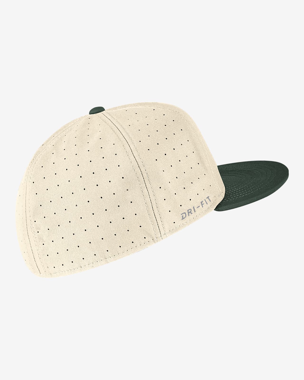 michigan state baseball cap