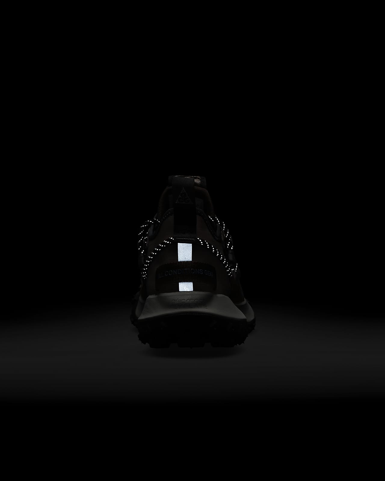 nike acg mountain fly low $180