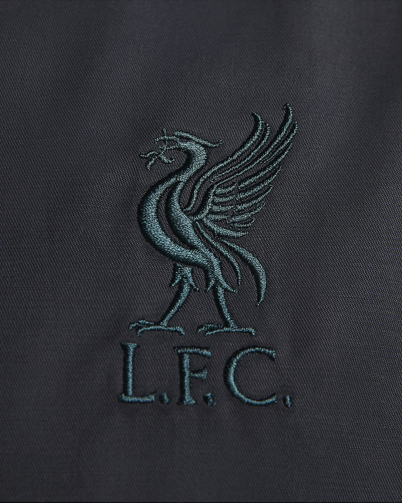 Liverpool F.C. flag waving in slow motio... | Stock Video | Pond5