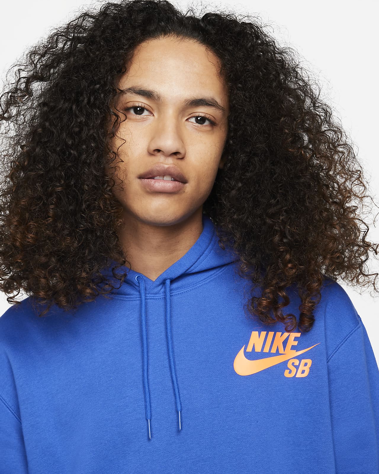 Nike SB Icon Pullover Skate Hoodie. Nike NZ